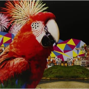 El Guincho - Alegranza Vinyl