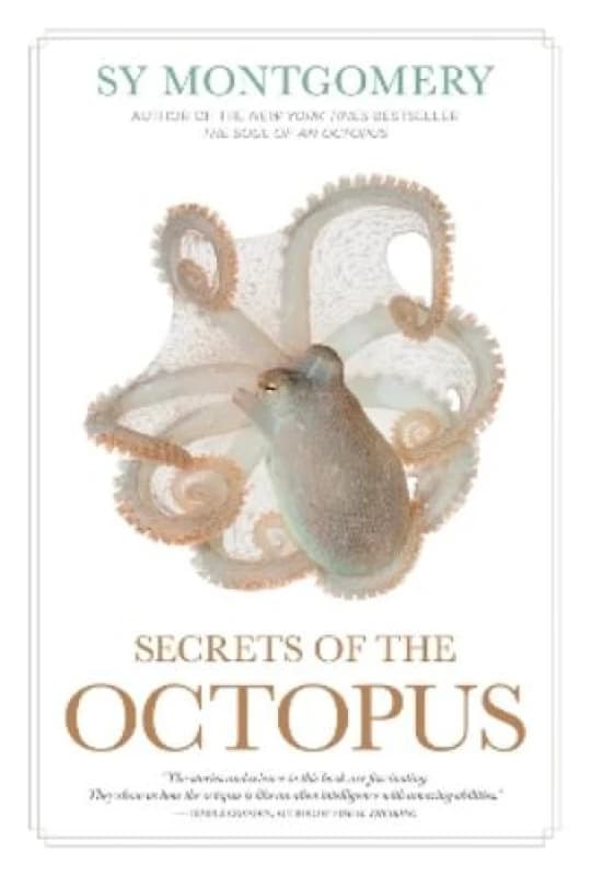Secrets of the Octopus Paperback / softback