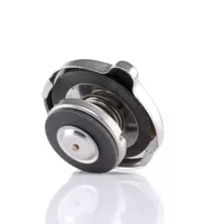 TRISCAN Radiator Cap 8610 1 FIAT,SKODA,SEAT,X 1/9 (128_),RITMO I (138A),132 (132_),105,120 (742),105,120 (744),130 Limousine