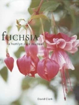Fuchsia by David Clark Paperback