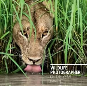 Wildlife Photographer of the Year Portfolio 28 by Rosamund Kidman Cox