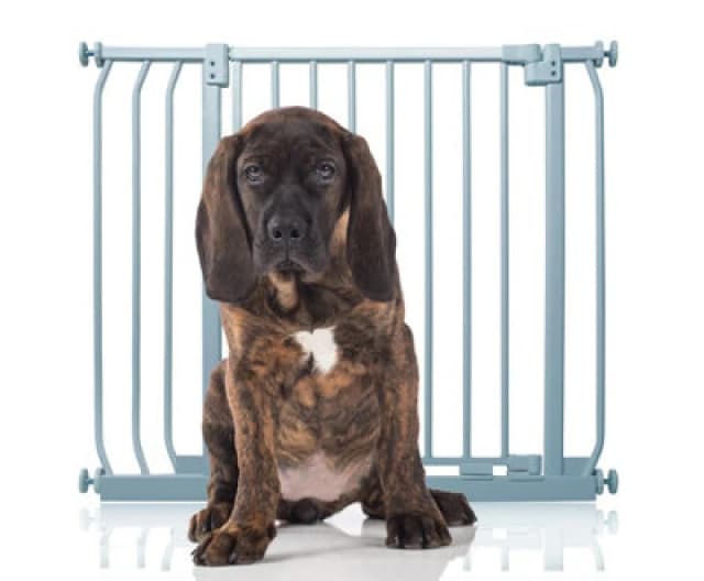 Bettacare Elite Pressure Dog Gate, 80Cm - 89Cm, Matt Grey, Pressure Fit Pet Gate For Dog And Puppy