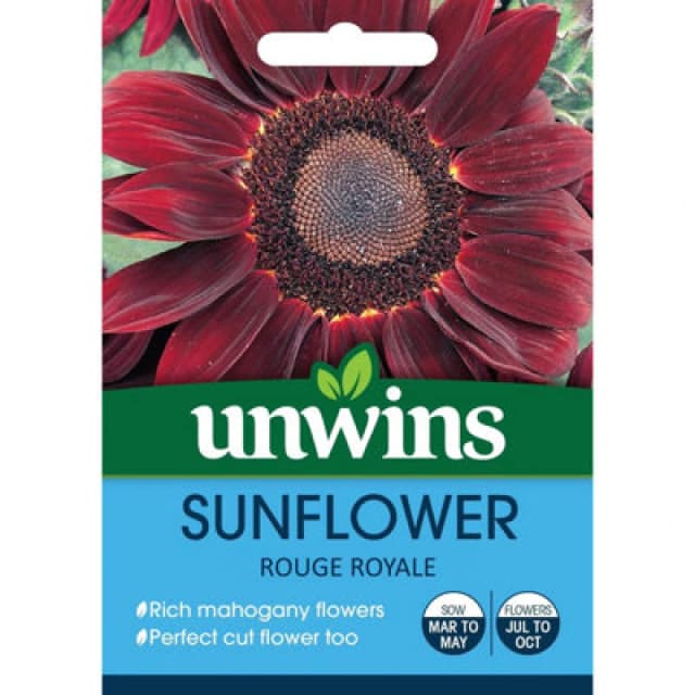 Unwins Sunflower Rouge Royale