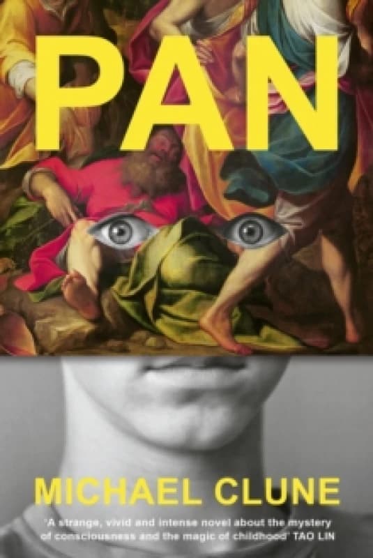 Pan Hardback