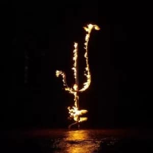 Hellfire Ocean Void by Demon Head CD Album