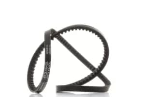DAYCO V Belt 10A0950C Fenner Belt VW,AUDI,BMW,GOLF II (19E, 1G1),GOLF I Cabriolet (155),PASSAT Variant (3A5, 35I),GOLF I (17),CORRADO (53I)