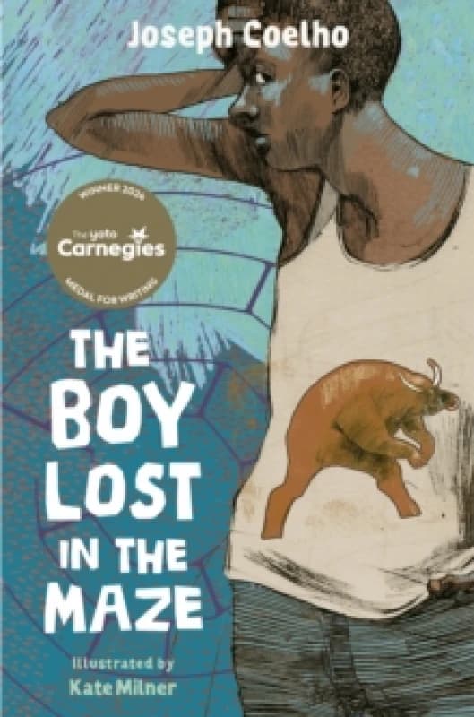 The Boy Lost in the Maze Paperback / softback
