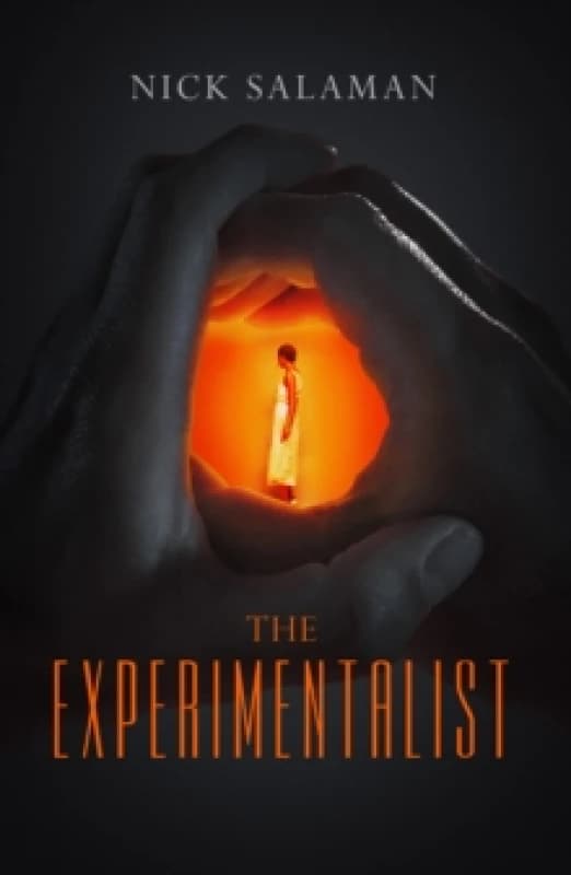 The Experimentalist Paperback / softback