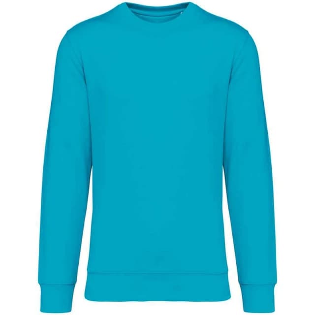 Native Spirit Mens Crew Neck Sweatshirt in Turquoise Size: 2XS Turquoise Male 2XS