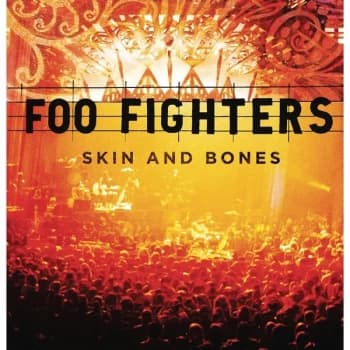 Foo Fighters - Skin And Bones Vinyl