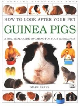 Guinea Pigs by Mark Evans Paperback