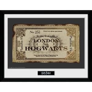Harry Potter Ticket Framed Collector Print