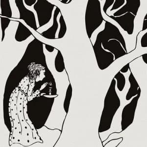 Wilderness Love by Shadow Band CD Album