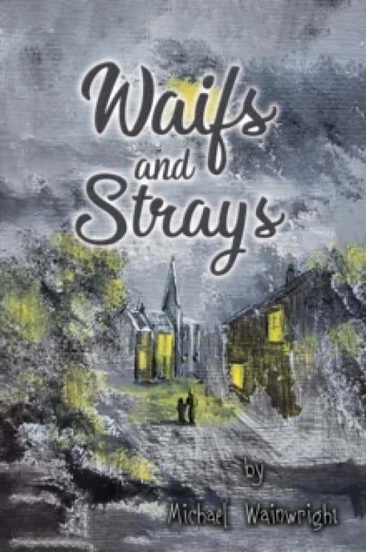 Waifs and Strays Paperback / softback