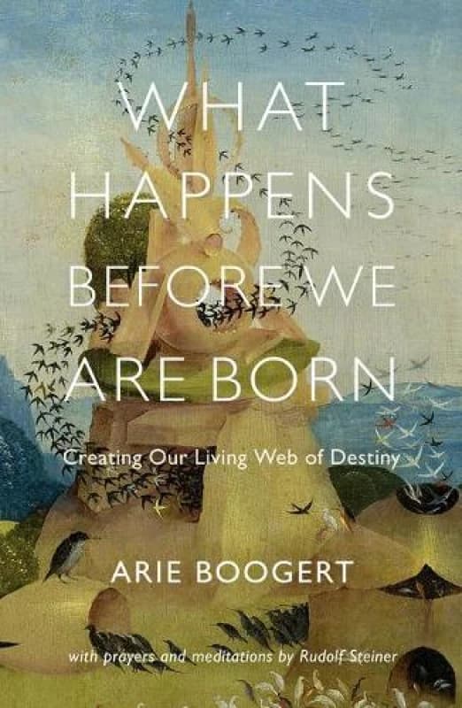 What Happens Before We Are Born : Creating Our Living Web of Destiny; with Prayers and Meditations by Rudolf Steiner Paperback / softback