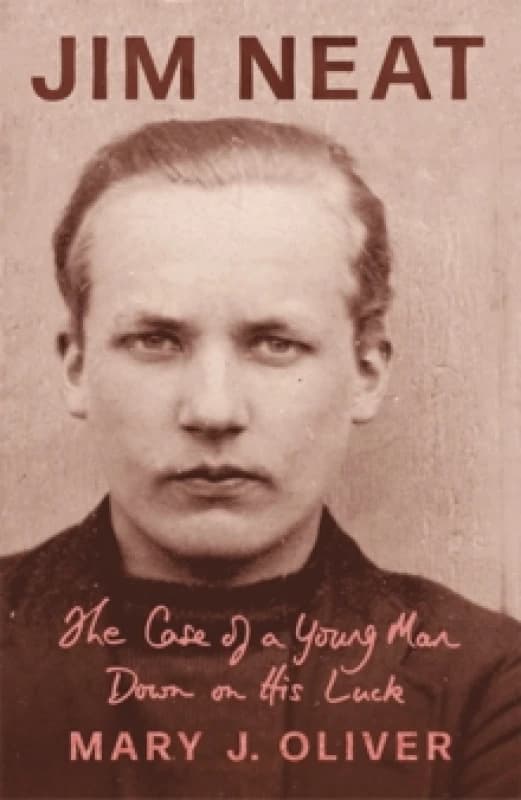 Jim Neat : The Case of a Young Man Down on His Luck Paperback / softback