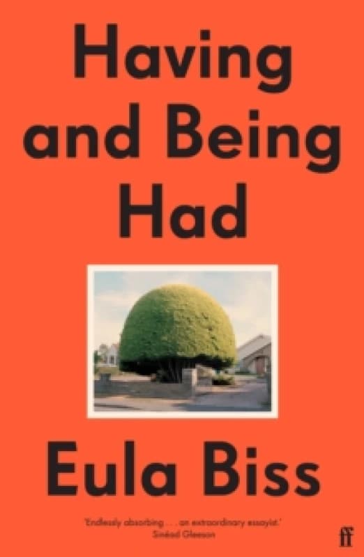 Having and Being Had Paperback / softback
