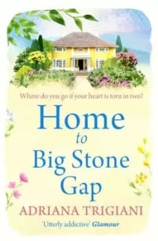 Home to Big Stone Gap - Adriana Trigiani - Paperback - Used