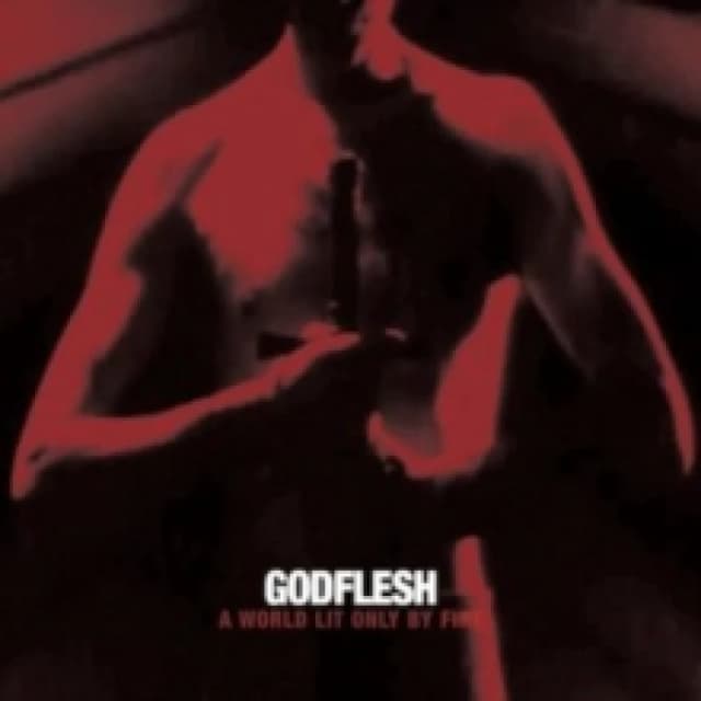 Godflesh A world lit only by fire LP multicolor Onesize Unisex