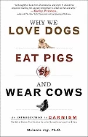 why we love dogs eat pigs and wear cows an introduction to carnism