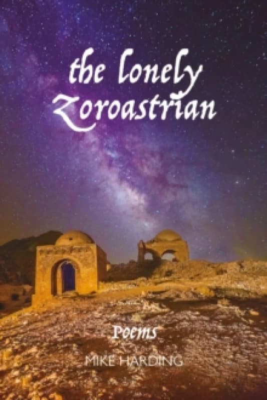 The Lonely Zoroastrian Paperback / softback
