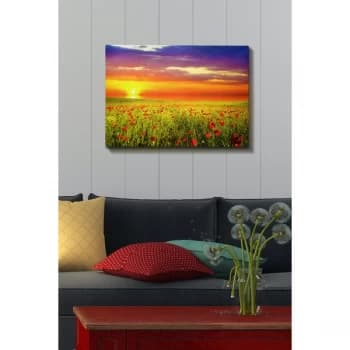 Kanvas Tablo (50 x 70) - 20 Multicolor Decorative Canvas Painting