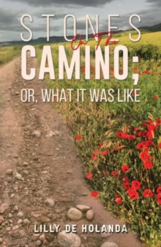 Stones on the Camino, or, What It Was Like. Paperback. By Lilly de Holanda Books