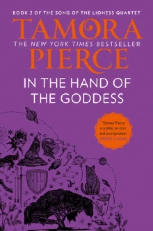 In The Hand of the Goddess Paperback / softback