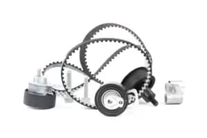 RIDEX Timing belt kit 307T0021 Timing belt set,Cam belt kit VW,AUDI,SKODA,Golf IV Schragheck (1J1),Golf V Schragheck (1K1),POLO (9N_),GOLF VI (5K1)