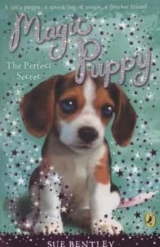 The Perfect Secret by Sue Bentley Book