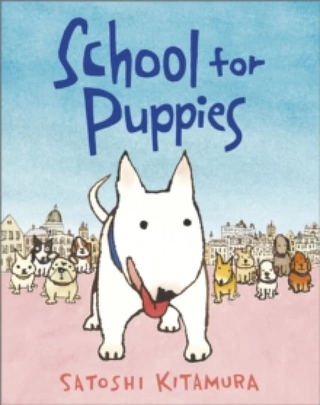 School for Puppies Paperback / softback