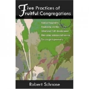 Five Practices of Fruitful Congregations by Robert C Schnase Paperback