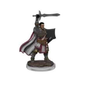 D&D Icons of the Realms Premium Figures (W7) Male Human Paladin