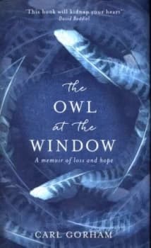 The Owl at the Window by Carl Gorham Hardback
