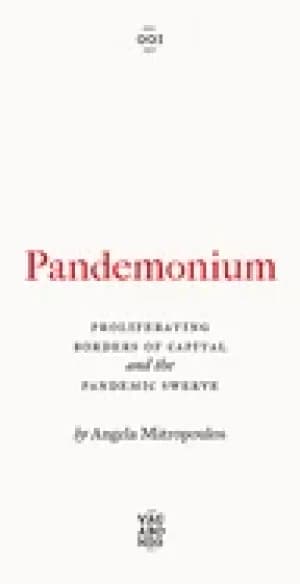 pandemonium proliferating borders of capital and the pandemic swerve