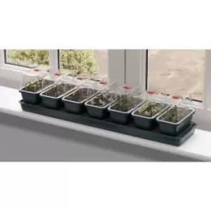 Super 7 Self Watering Windowsill Propagator - 14 Days Watering - Garland