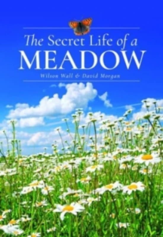The Secret Life of a Meadow Hardback