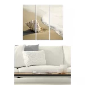 MDFftr1004 Multicolor Decorative MDF Painting (3 Pieces)