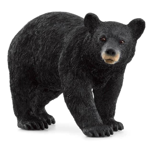 Schleich American Black Bear Multi unisex