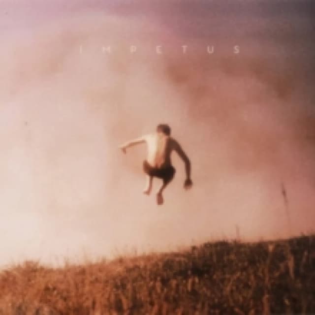 Impetus Vinyl