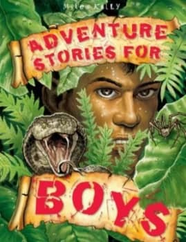 Adventure Stories for Boys by Belinda Gallagher Book