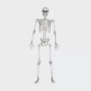 Life-Size Skeleton