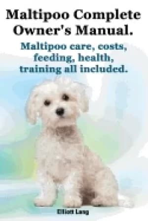 maltipoo complete owners manual maltipoos facts and information maltipoo ca