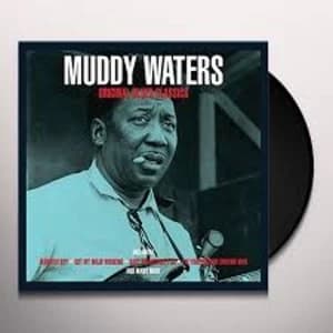 Muddy Waters - Original Blues Classics Vinyl