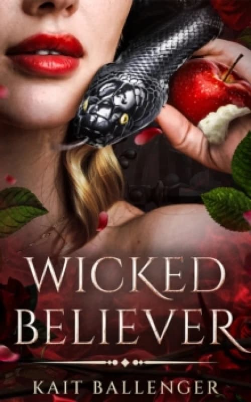 Wicked Believer Paperback / softback