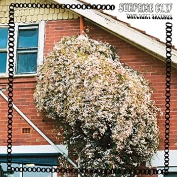 Surprise Chef - Daylight Savings CD