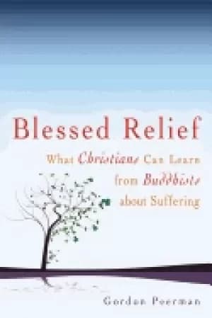 blessed relief what christians can learn from buddhists about suffering