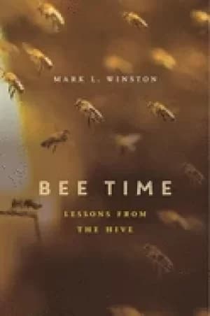 bee time lessons from the hive