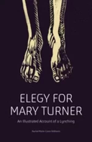 elegy for mary turner an illustrated account of a lynching