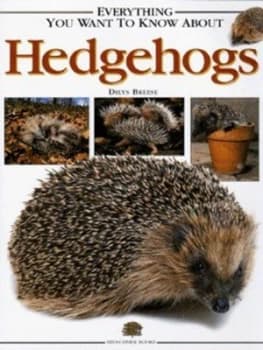 Everything You Want to Know about Hedgehogs by Dilys Breese Hardback